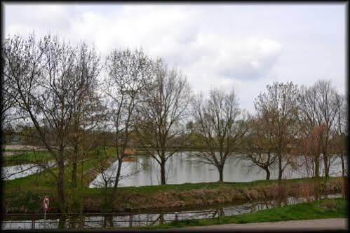 Penzion U Kohoutka Pardubice Extérieur photo